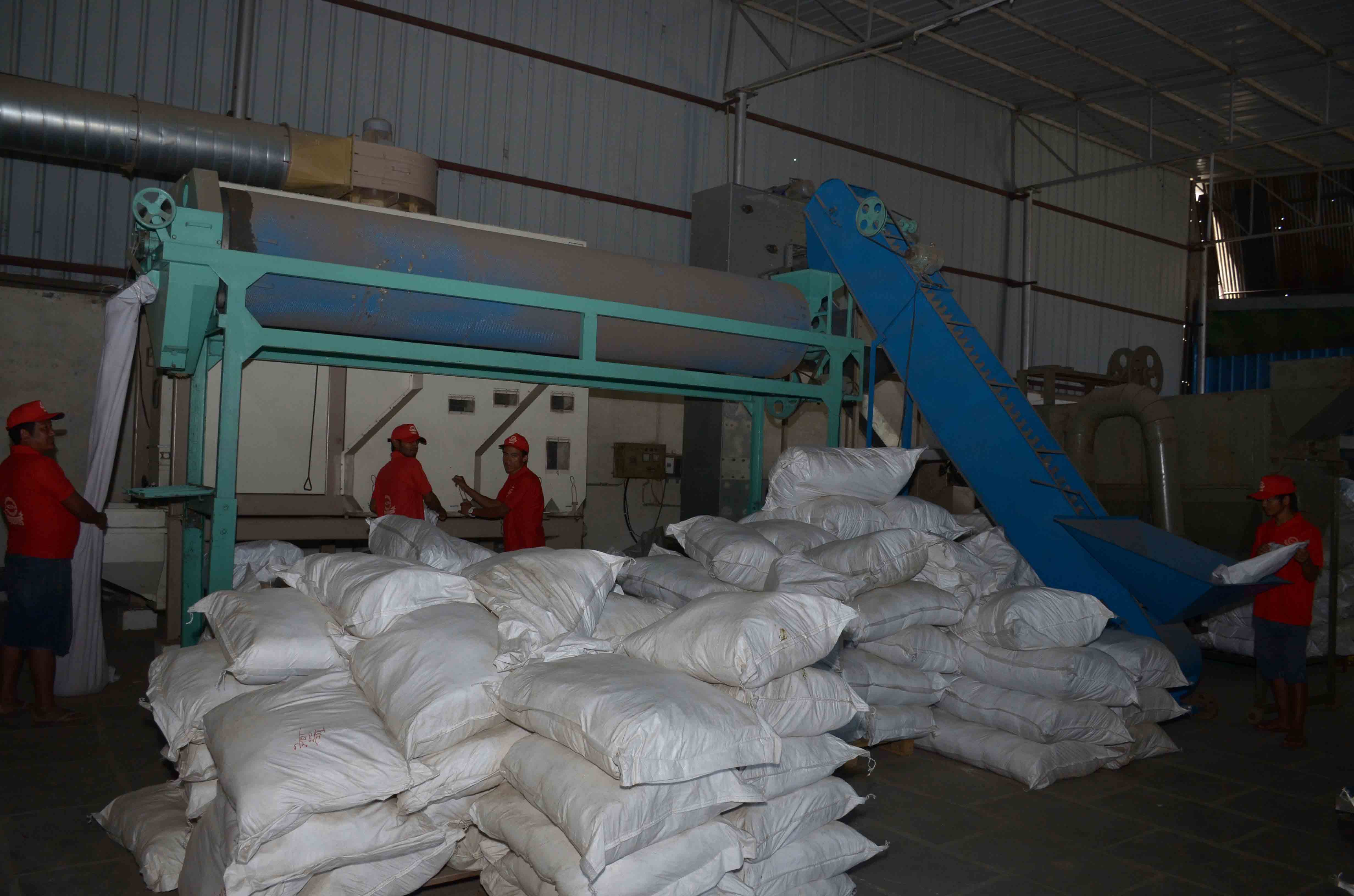 Raw Spices Cleaning Plant